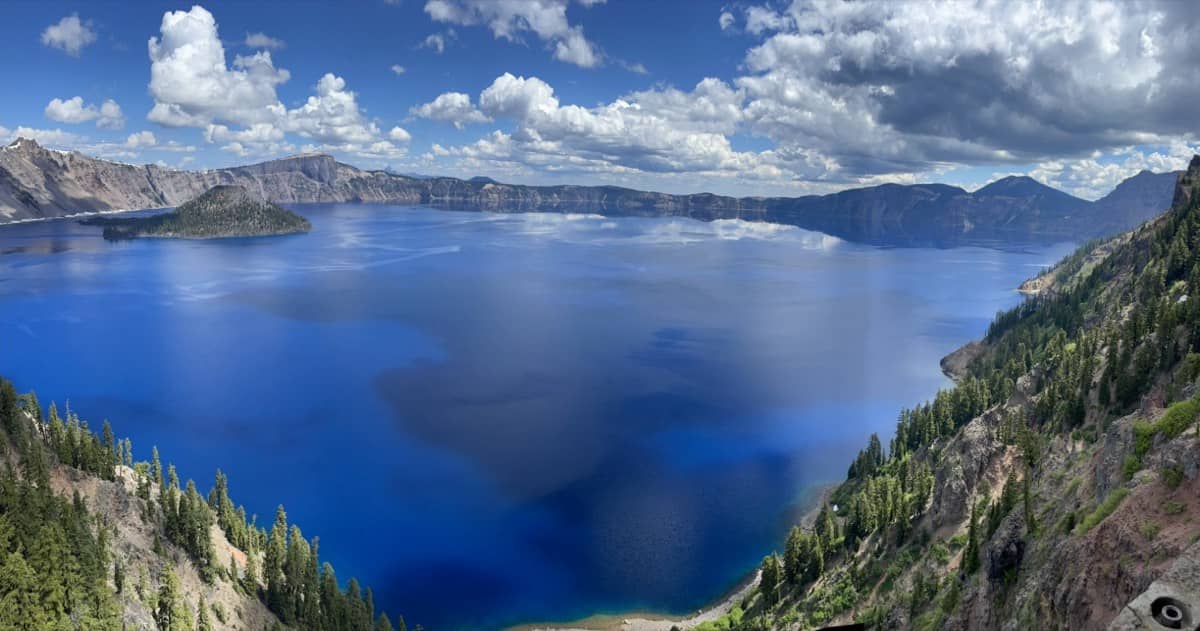 Dog on epic trail hike adventure