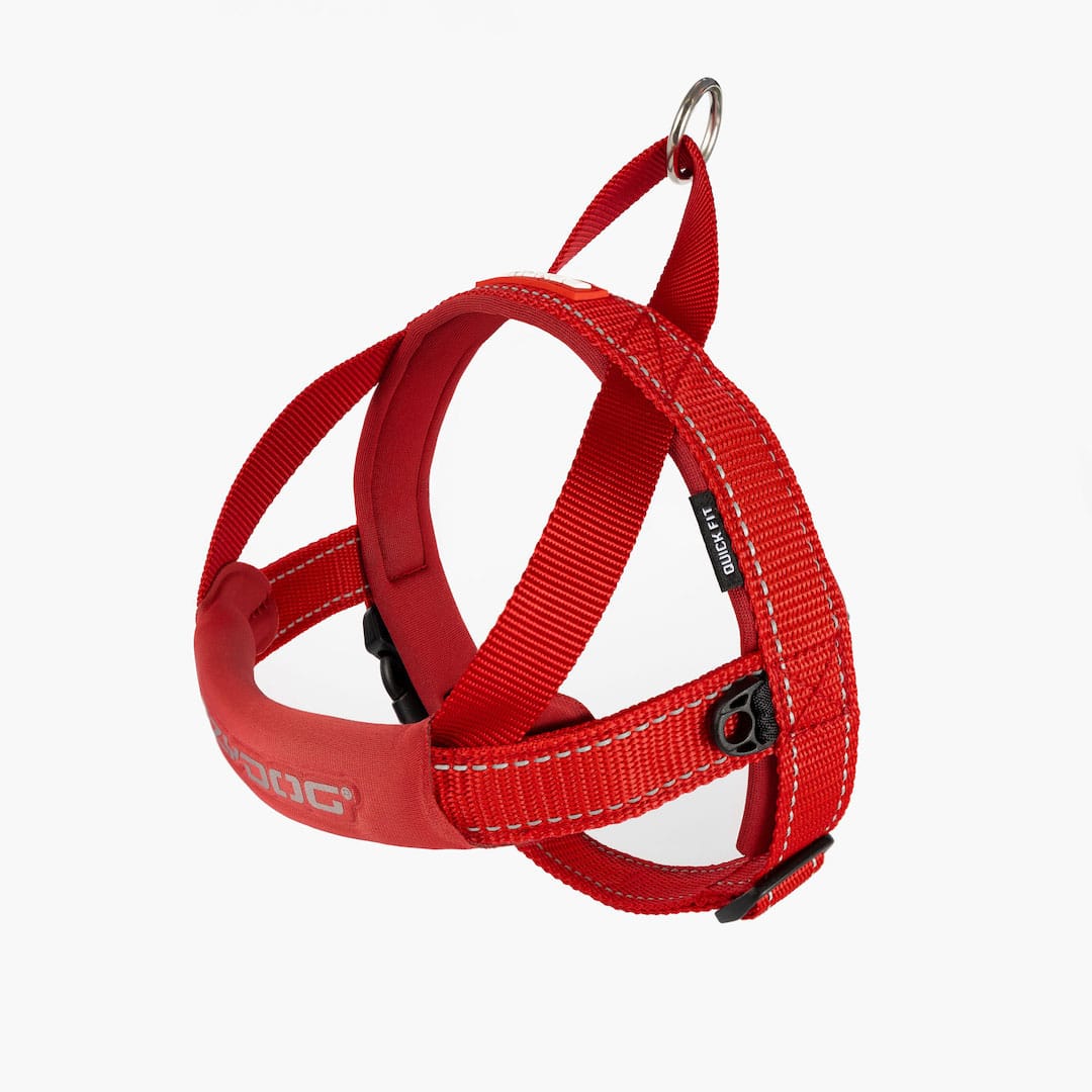 EzyDog Quick Fit