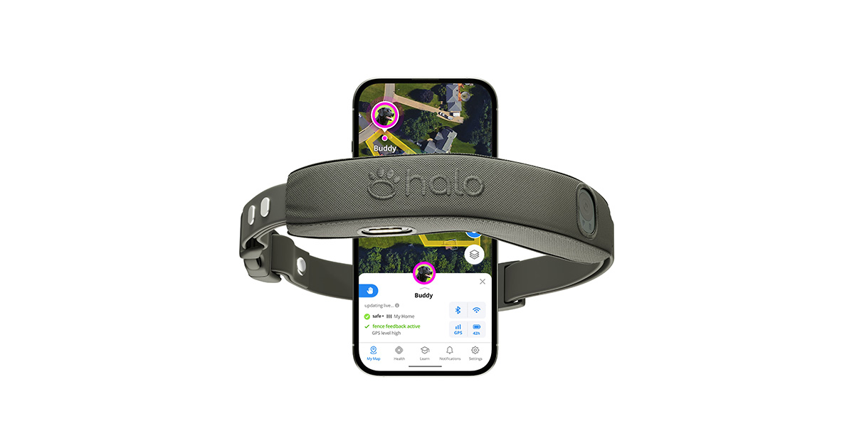 Halo Halo Collar 4