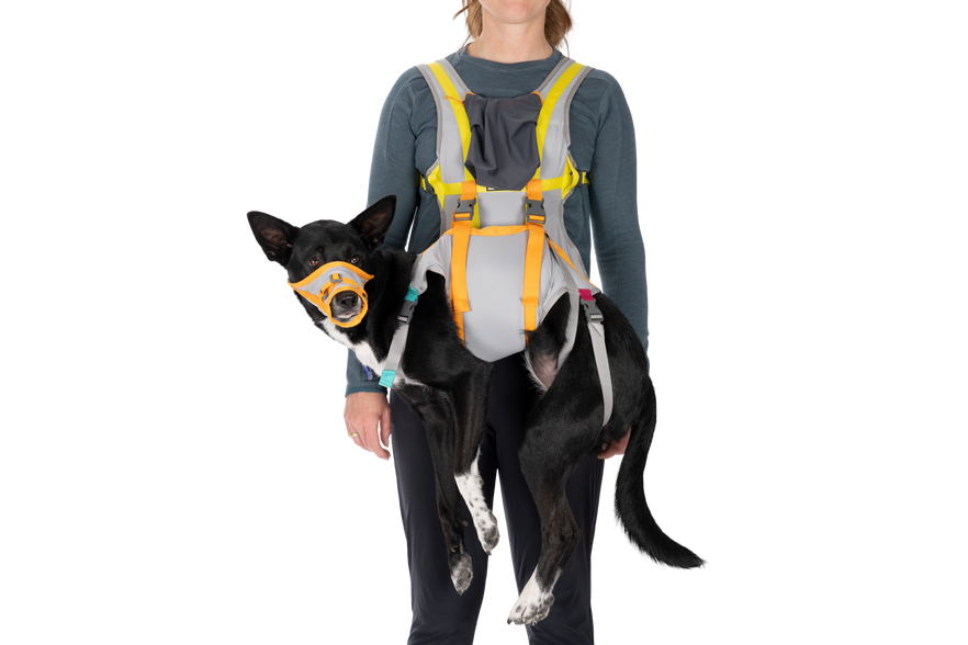 Ruffwear BackTrak