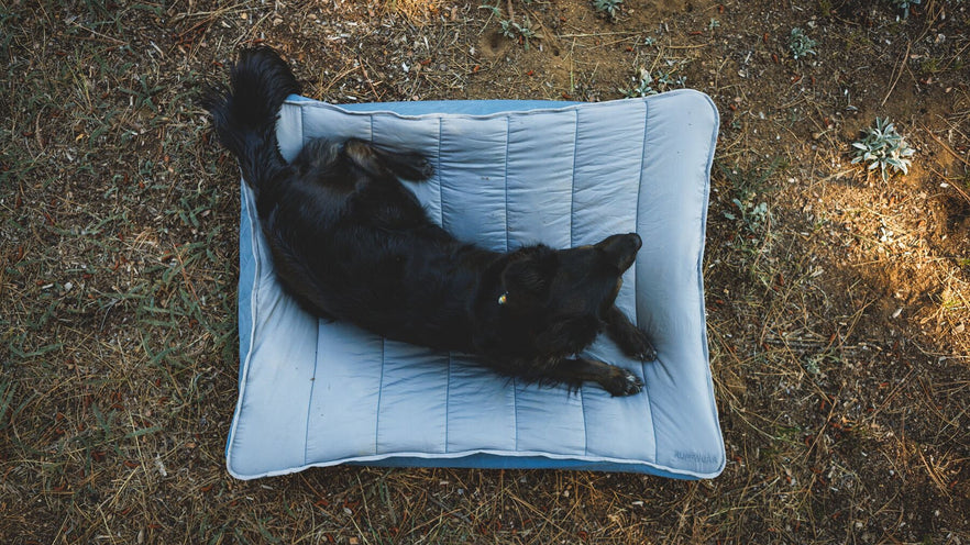 Ruffwear Mt. Bachelor Pad