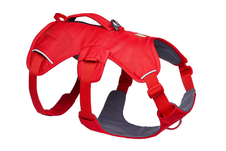 Ruffwear Web Master