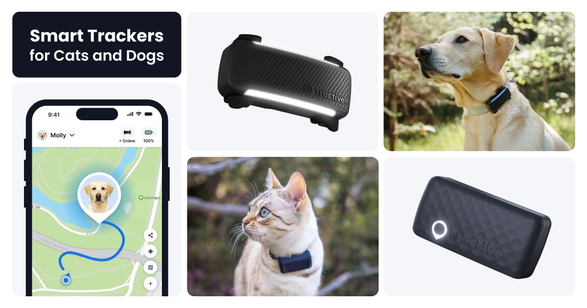 Tractive DOG XL